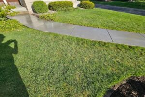 Curved concrete lawn edging along a residential driveway in Fayetteville, NC