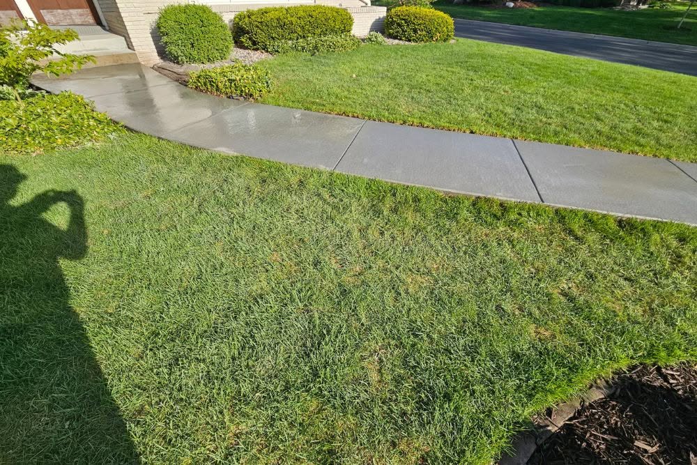 Curved concrete lawn edging along a residential driveway in Fayetteville, NC